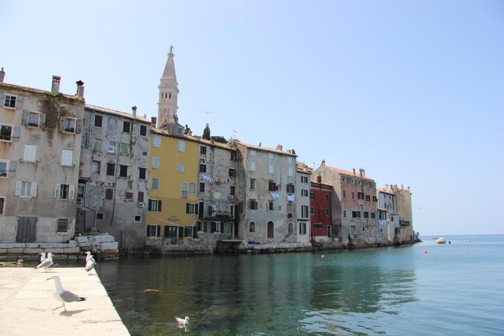 Casa Svalba Apartment Rovinj Bagian luar foto