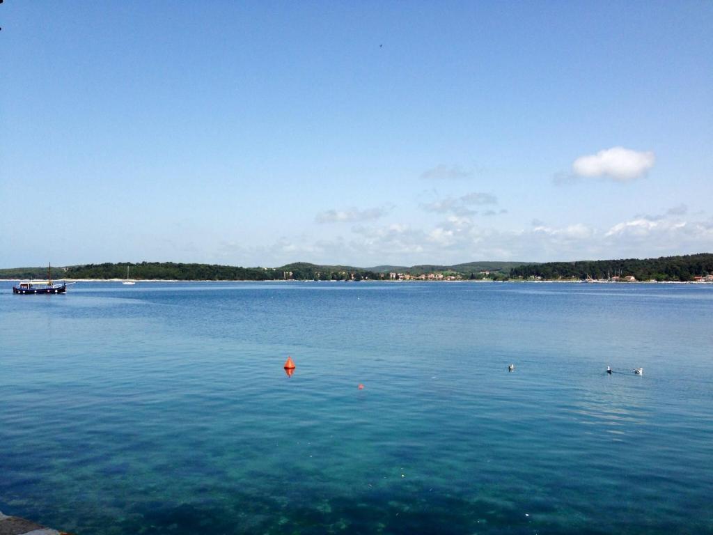Casa Svalba Apartment Rovinj Bagian luar foto